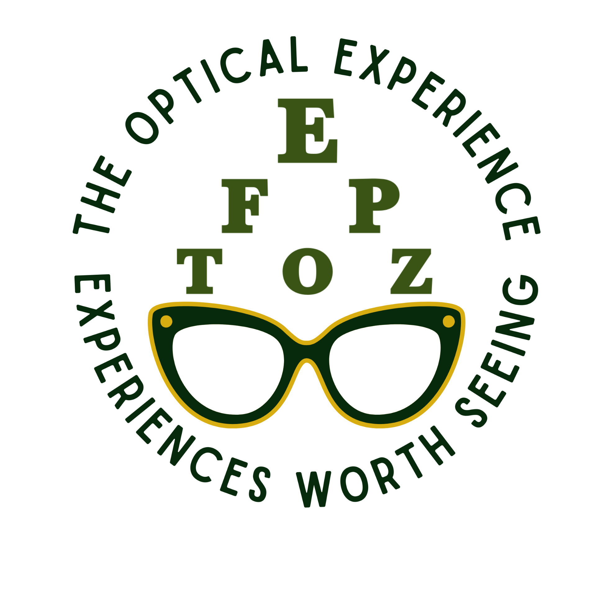 The Optical Experience